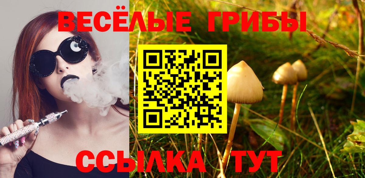 продажа наркотиков  Псилоцибиновые грибы прущие грибы  Вход с VPN  Псилоцибиновые грибы ЛСД  Вольск 