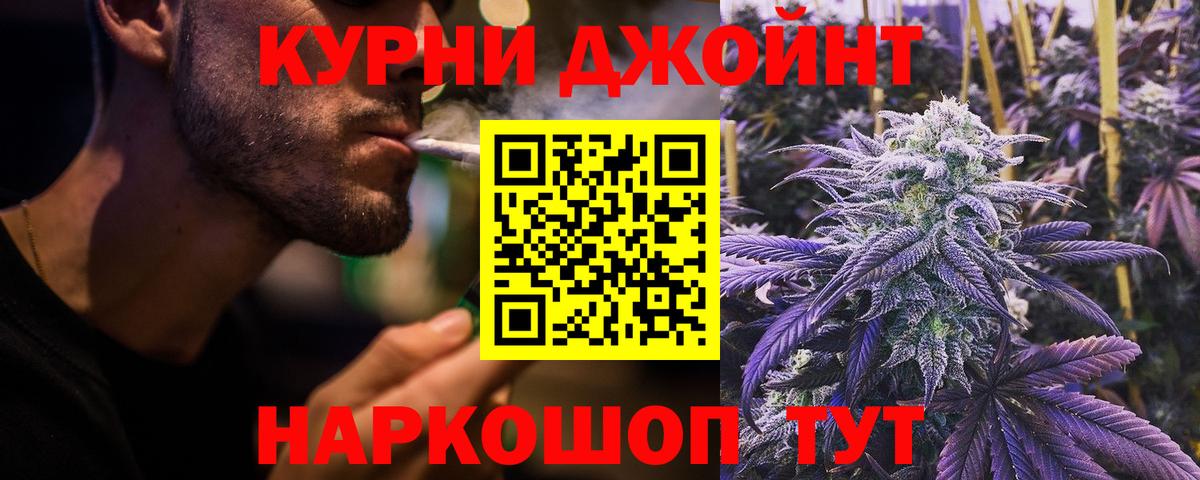 Канабис сатива Вольск